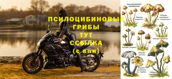 а пвп мука Касимов
