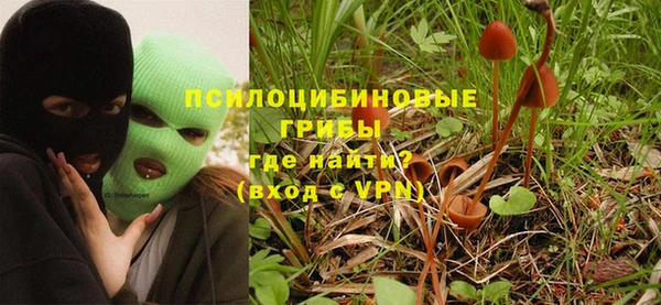 дурь Аркадак