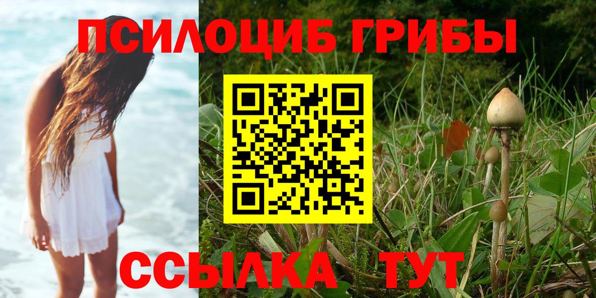 Галлюциногенные грибы мицелий  Вход с VPN  Выкса 