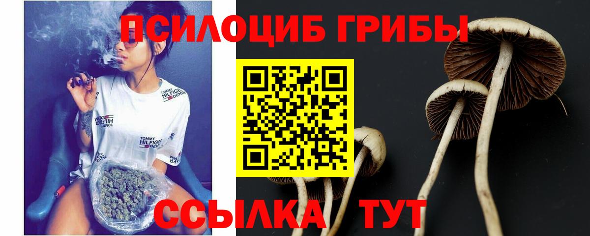 Галлюциногенные грибы Cubensis Выкса